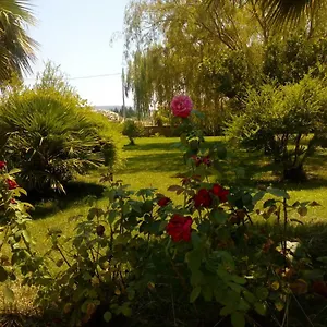  Appartement Il Giardino Delle Rose A